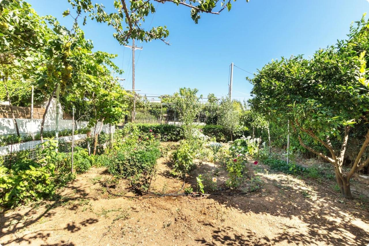 Οικια Elisabeth Apartamento Loútsa Exterior foto