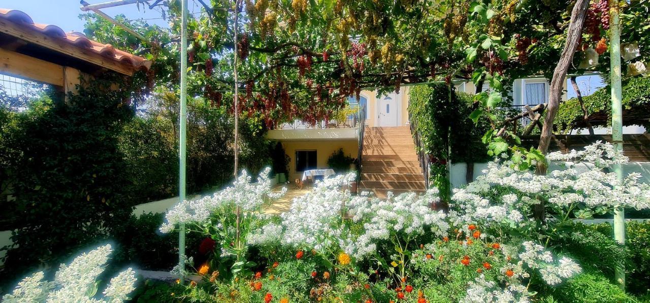 Οικια Elisabeth Apartamento Loútsa Exterior foto
